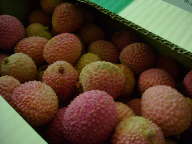 d0104926_5303777.jpg