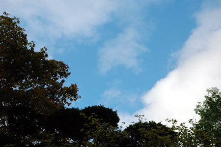 e0037129_16373091.jpg