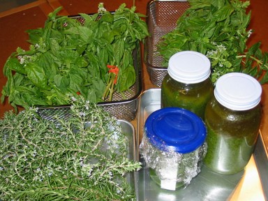f0105732_1535357.jpg