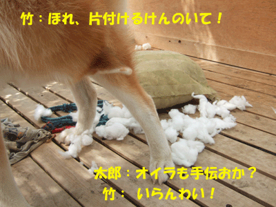 f0008935_0121837.gif