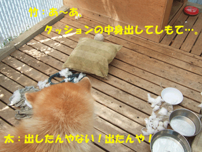 f0008935_01225.gif