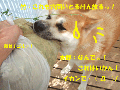 f0008935_0123021.gif