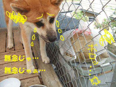 f0008935_0124396.gif