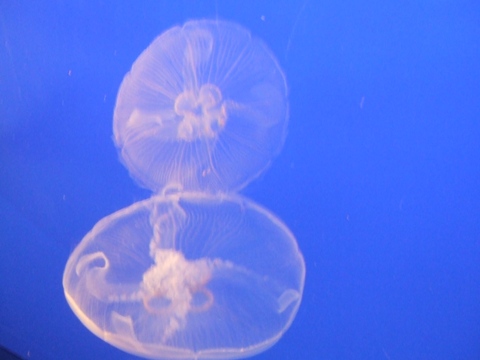 f0075537_23523676.jpg