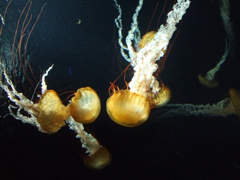 f0075537_23525817.jpg