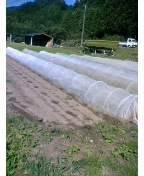 d0090842_22271291.jpg
