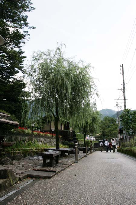 a0076043_14394.jpg