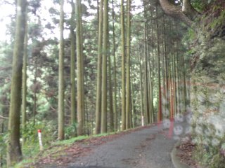 a0008549_1135934.jpg