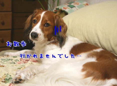 d0013149_038281.jpg