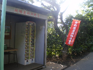 c0118352_18562271.jpg