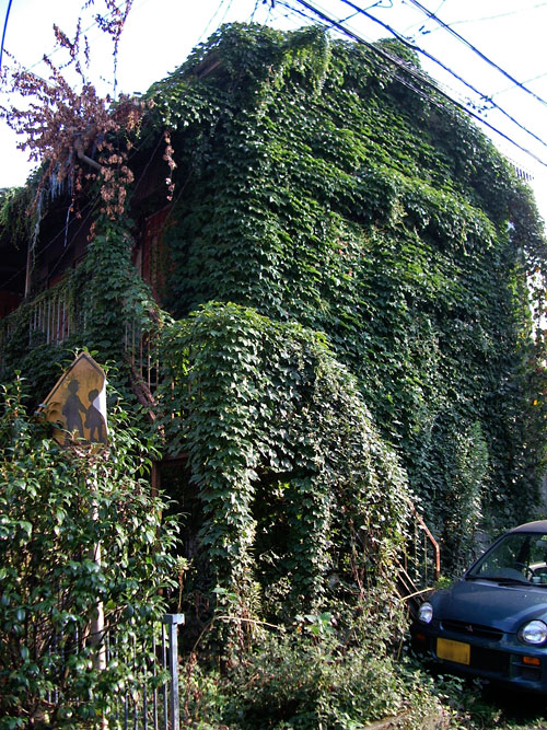 d0100156_2243457.jpg