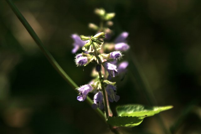 f0044056_17322446.jpg