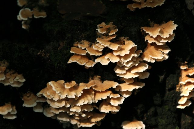 f0044056_17374177.jpg