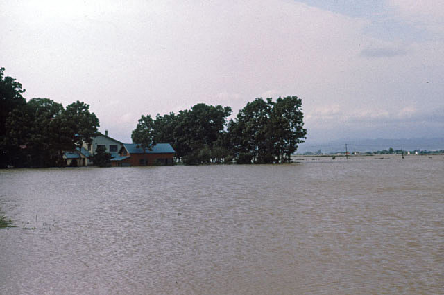 e0100772_22184359.jpg