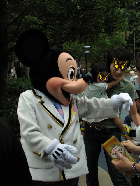 d0079373_16501637.jpg