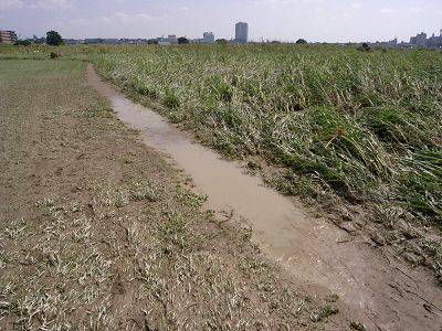c0091679_1515549.jpg