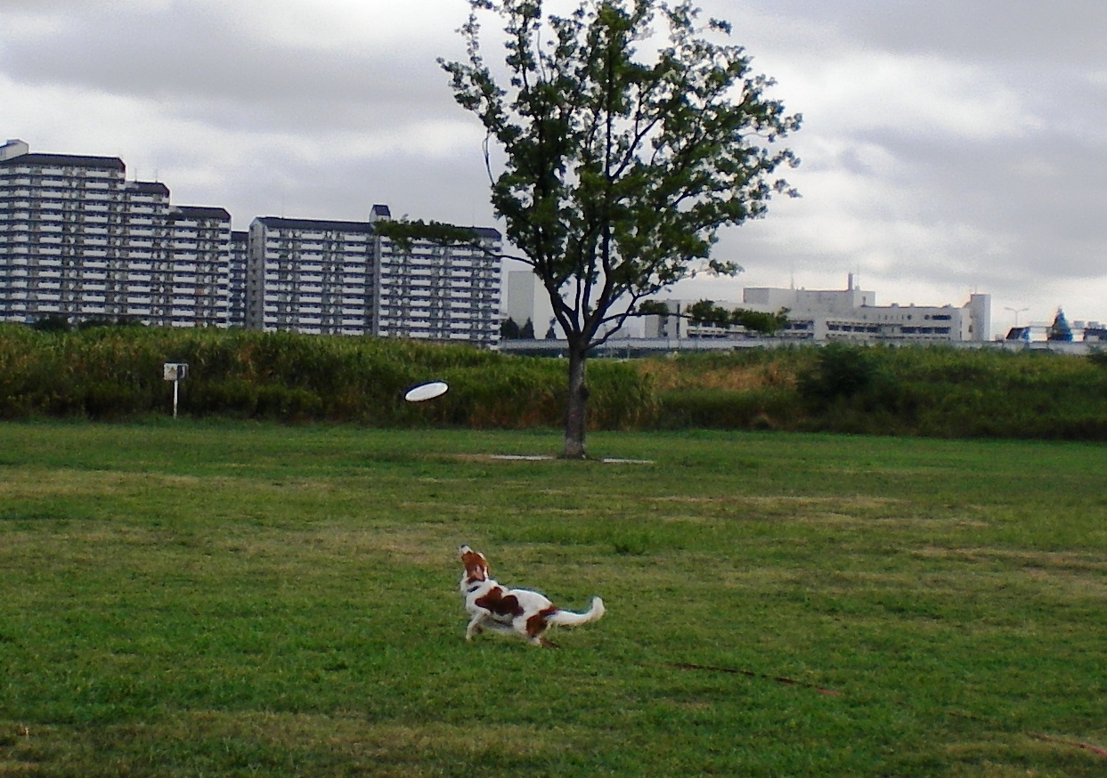 a0076980_923730.jpg