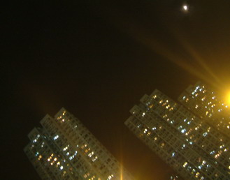 d0112881_203587.jpg