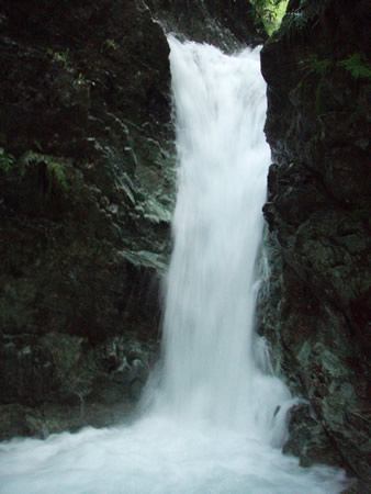 f0087787_16543814.jpg