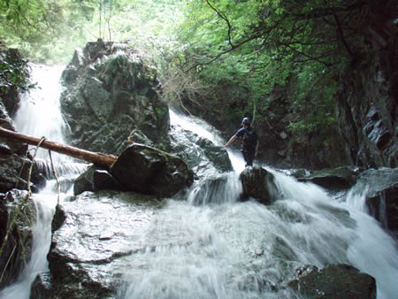 f0087787_1731687.jpg