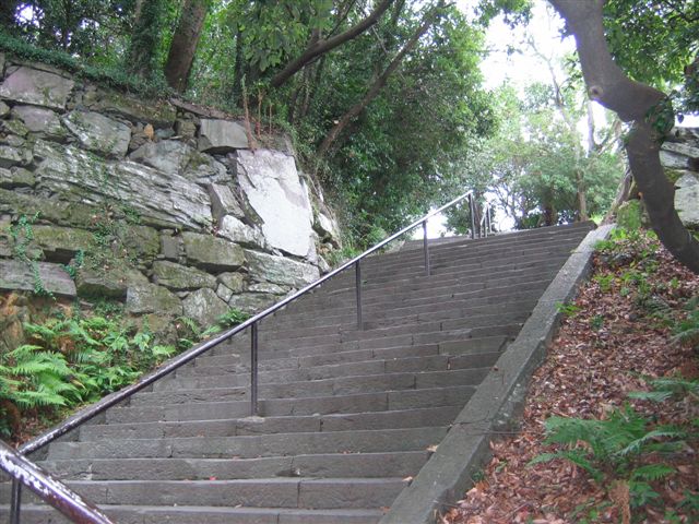 f0140087_10242241.jpg