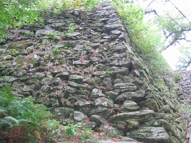 f0140087_1039442.jpg