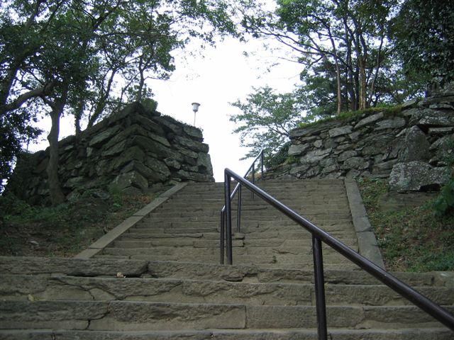 f0140087_1052202.jpg