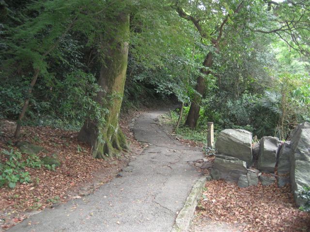 f0140087_1112538.jpg