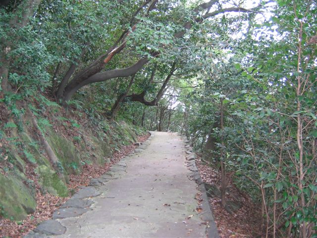 f0140087_11131117.jpg