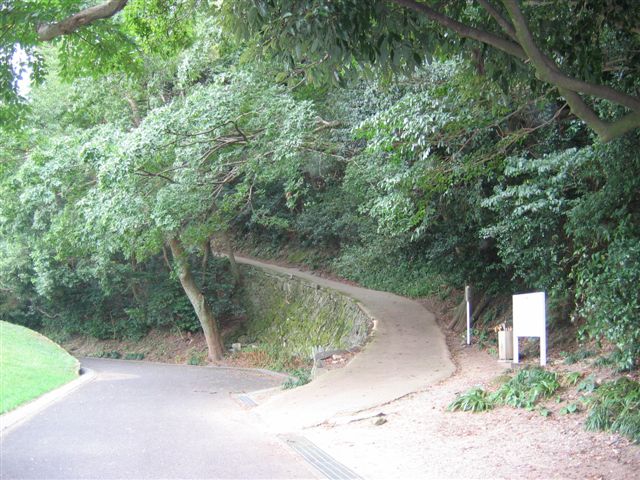 f0140087_1114543.jpg