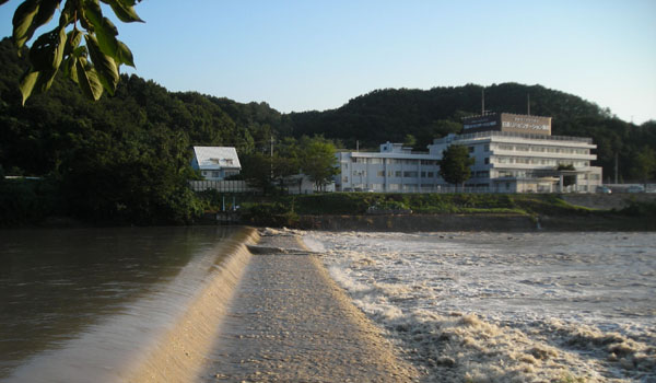 d0000995_16154647.jpg