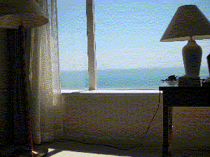 d0038319_13512765.gif