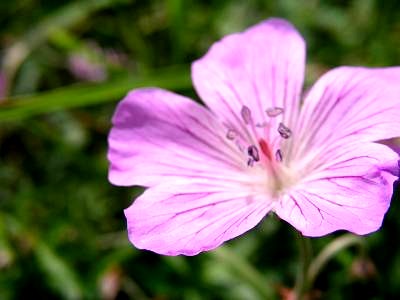 f0004019_23512011.jpg