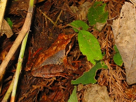 e0002820_21454530.jpg