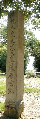 f0000521_1035325.jpg