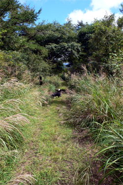 f0060424_21555339.jpg