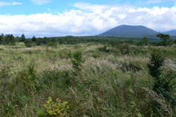 f0060424_2158274.jpg