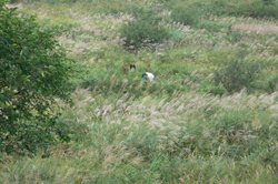 f0060424_2159479.jpg