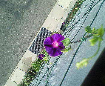 b0094025_1431878.jpg