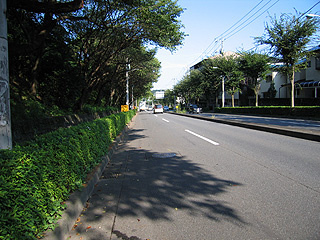 e0089826_10224292.jpg