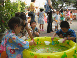 b0080033_23565597.gif
