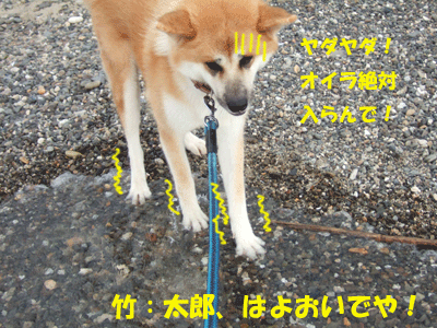 f0008935_10152330.gif
