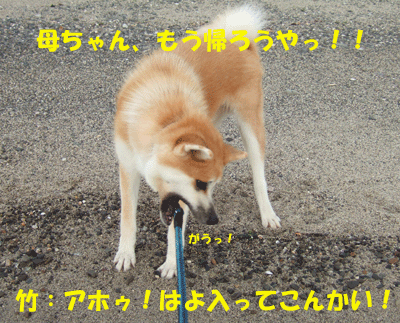 f0008935_1016072.gif