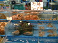 c0023937_22281586.jpg