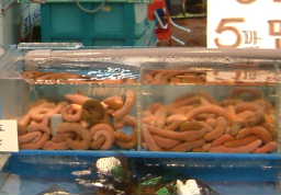 c0023937_22291815.jpg