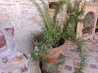 a0094140_15205511.jpg