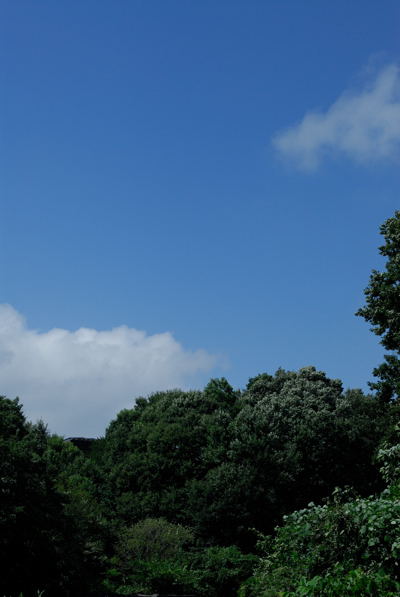 b0036743_1839974.jpg