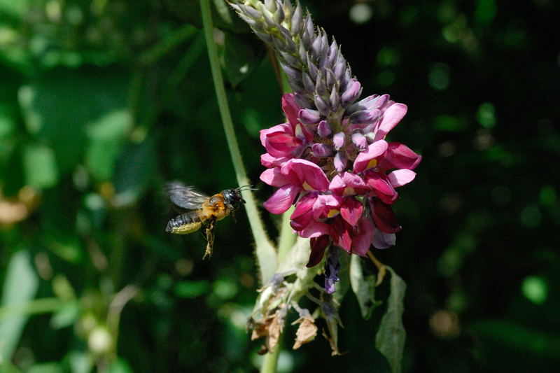 b0036743_1842088.jpg