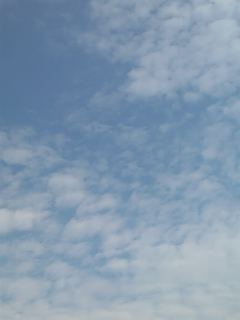 f0099147_168298.jpg