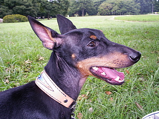 c0123149_21374026.jpg